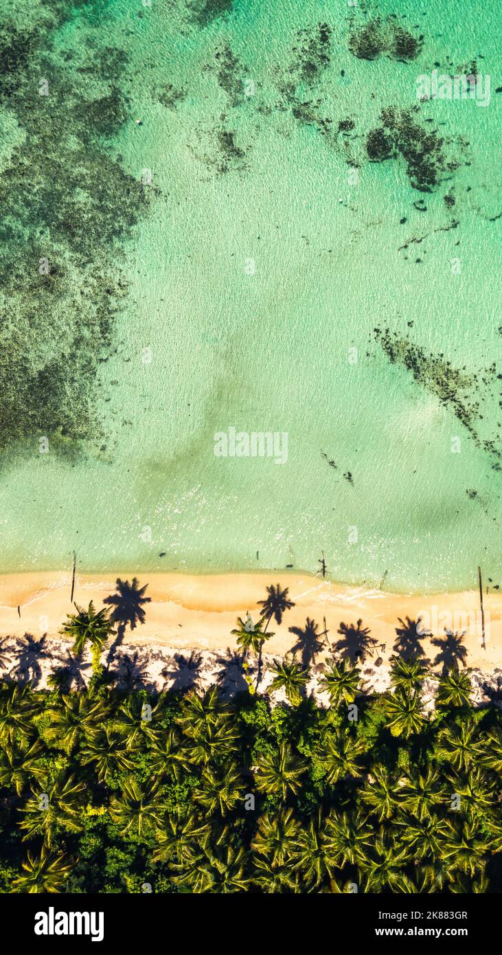 Aerial top down along tropical hi-res stock photography and images - Alamy