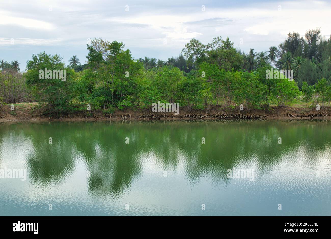 A scenic view of a lake reflecting green trees growing on its shore ...