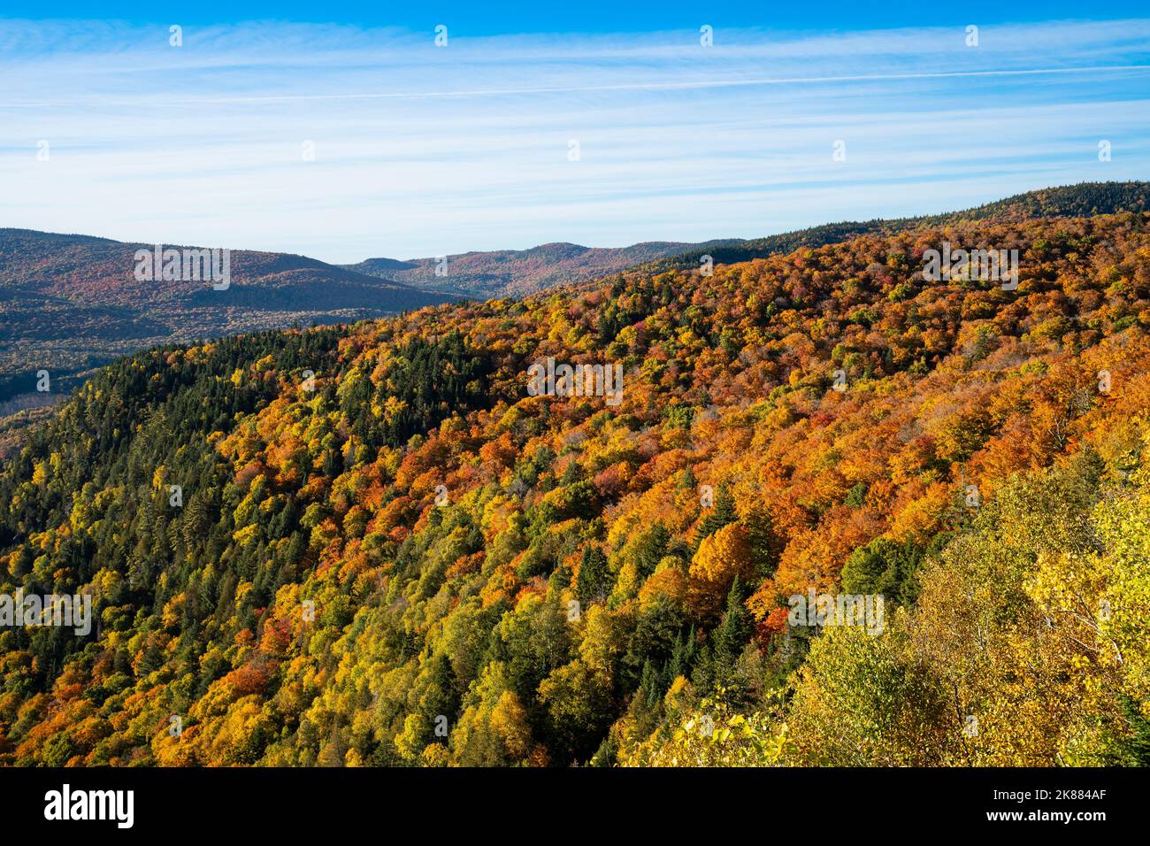Beautiful forest with colorful autumn leaves at sunset in national park Stock Photo