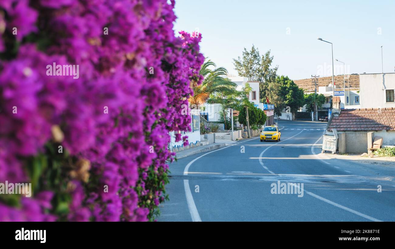 Yellow taxi on the road in warm country with purple flowers Stock Photo