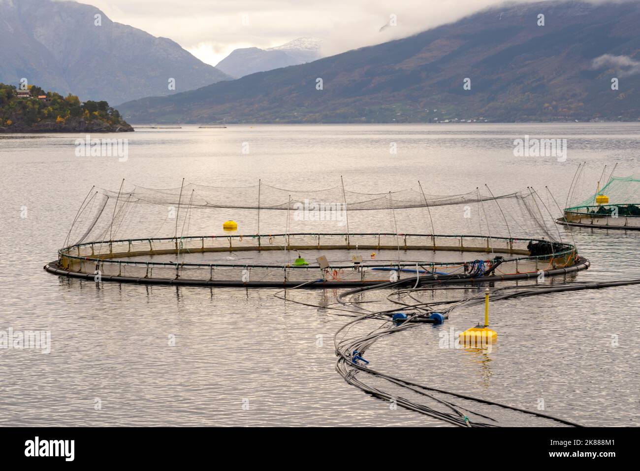 A salmon fish farm in Norway. Norway is the biggest producer of farmed salmon in the world. Stock Photo