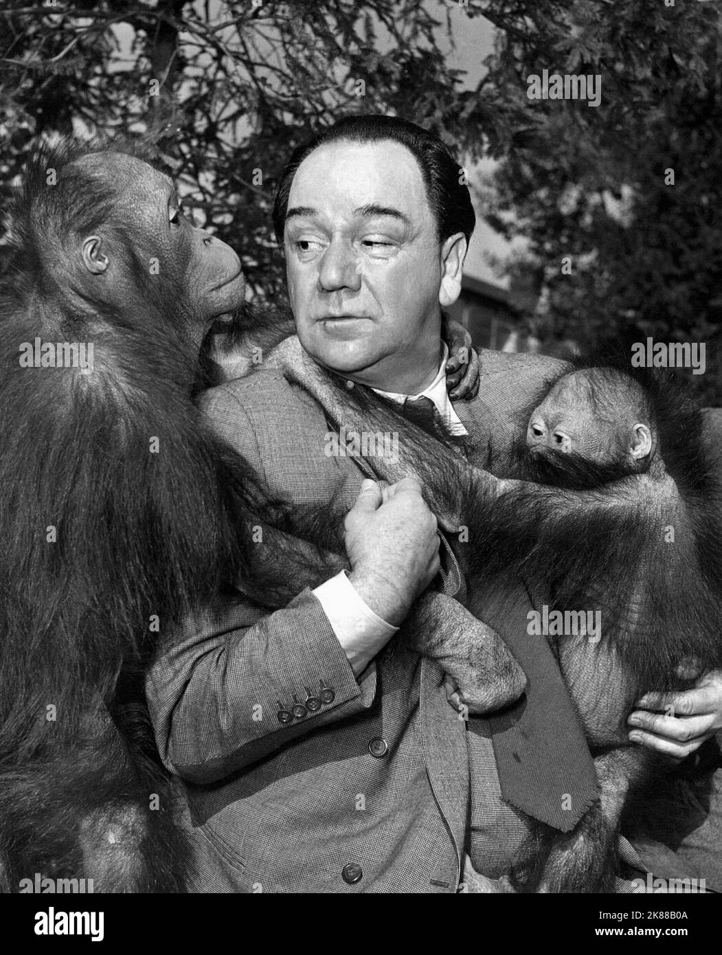 Harry Piel & Monkeys  Director & Actor   01 May 1950   **WARNING** This Photograph is for editorial use only and is the copyright of The Film Company and/or the Photographer assigned by the Film or Production Company and can only be reproduced by publications in conjunction with the promotion of the above Film. A Mandatory Credit To The Film Company is required. The Photographer should also be credited when known. No commercial use can be granted without written authority from the Film Company. Stock Photo