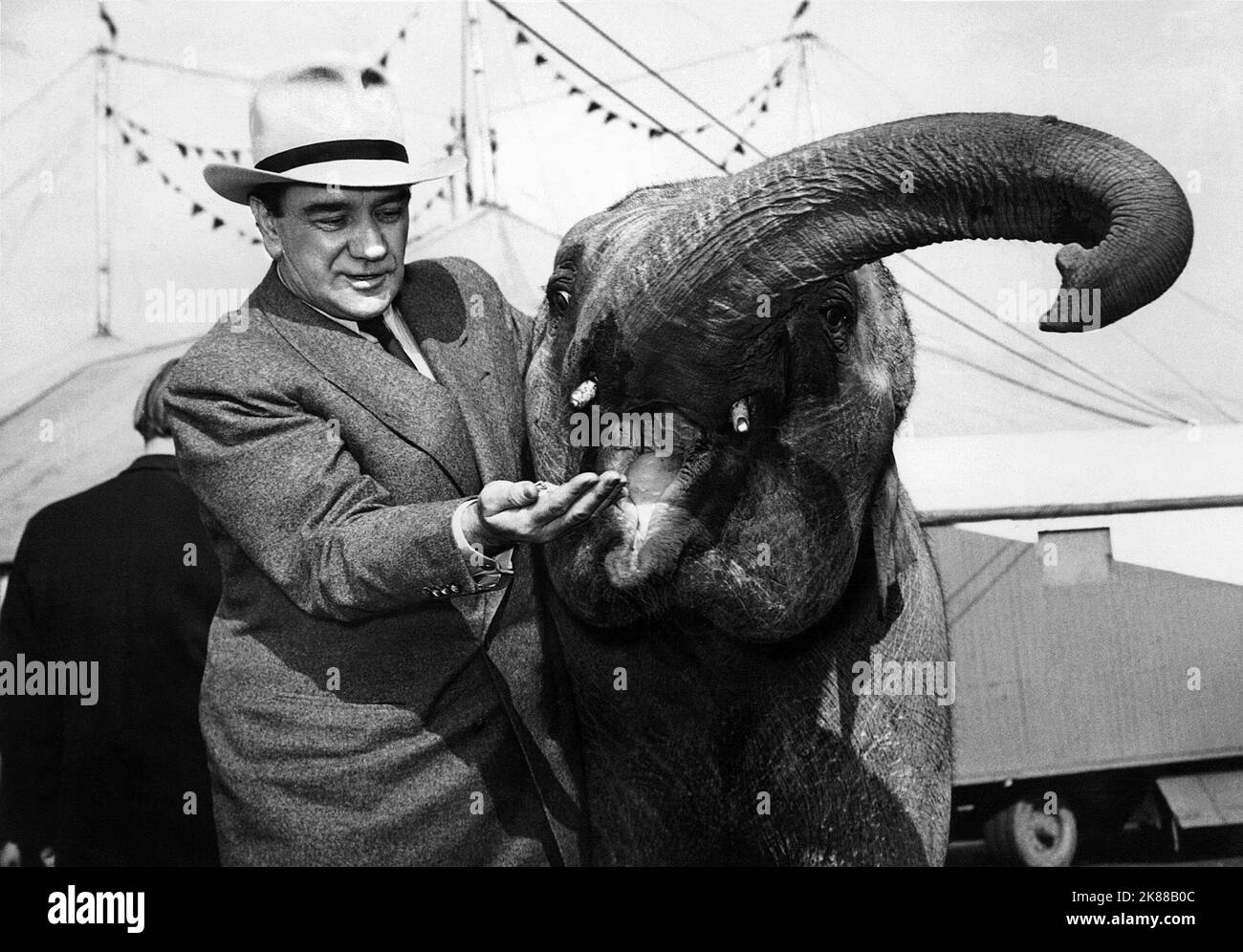 Harry Piel & Elephant  Director & Actor   01 May 1950   **WARNING** This Photograph is for editorial use only and is the copyright of The Film Company and/or the Photographer assigned by the Film or Production Company and can only be reproduced by publications in conjunction with the promotion of the above Film. A Mandatory Credit To The Film Company is required. The Photographer should also be credited when known. No commercial use can be granted without written authority from the Film Company. Stock Photo