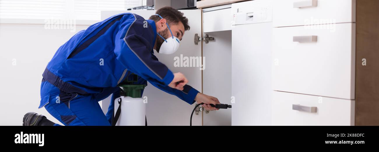 Pest Control Worker Spraying Insecticide In House Stock Photo