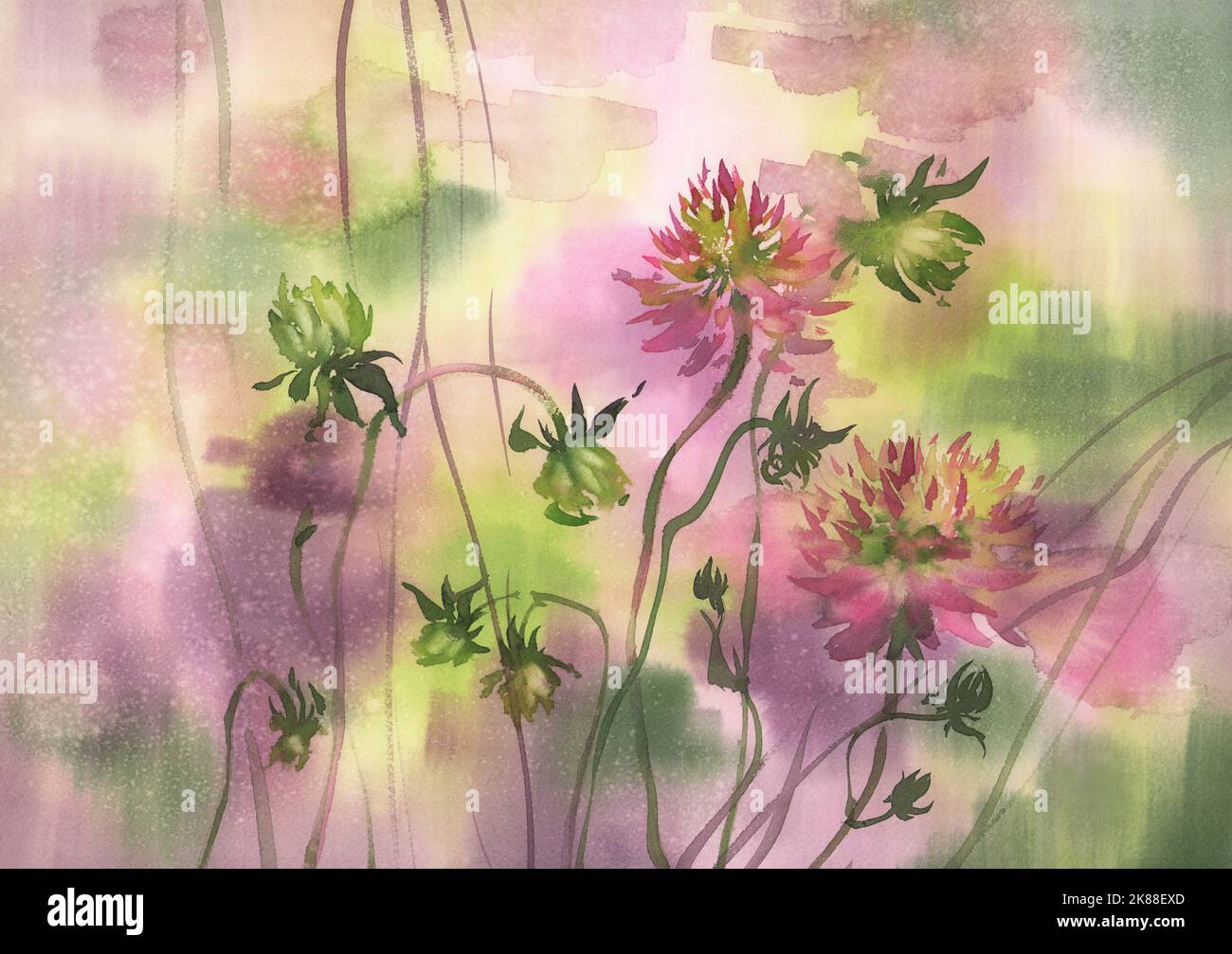 Dahlia flower line art hi-res stock photography and images - Alamy