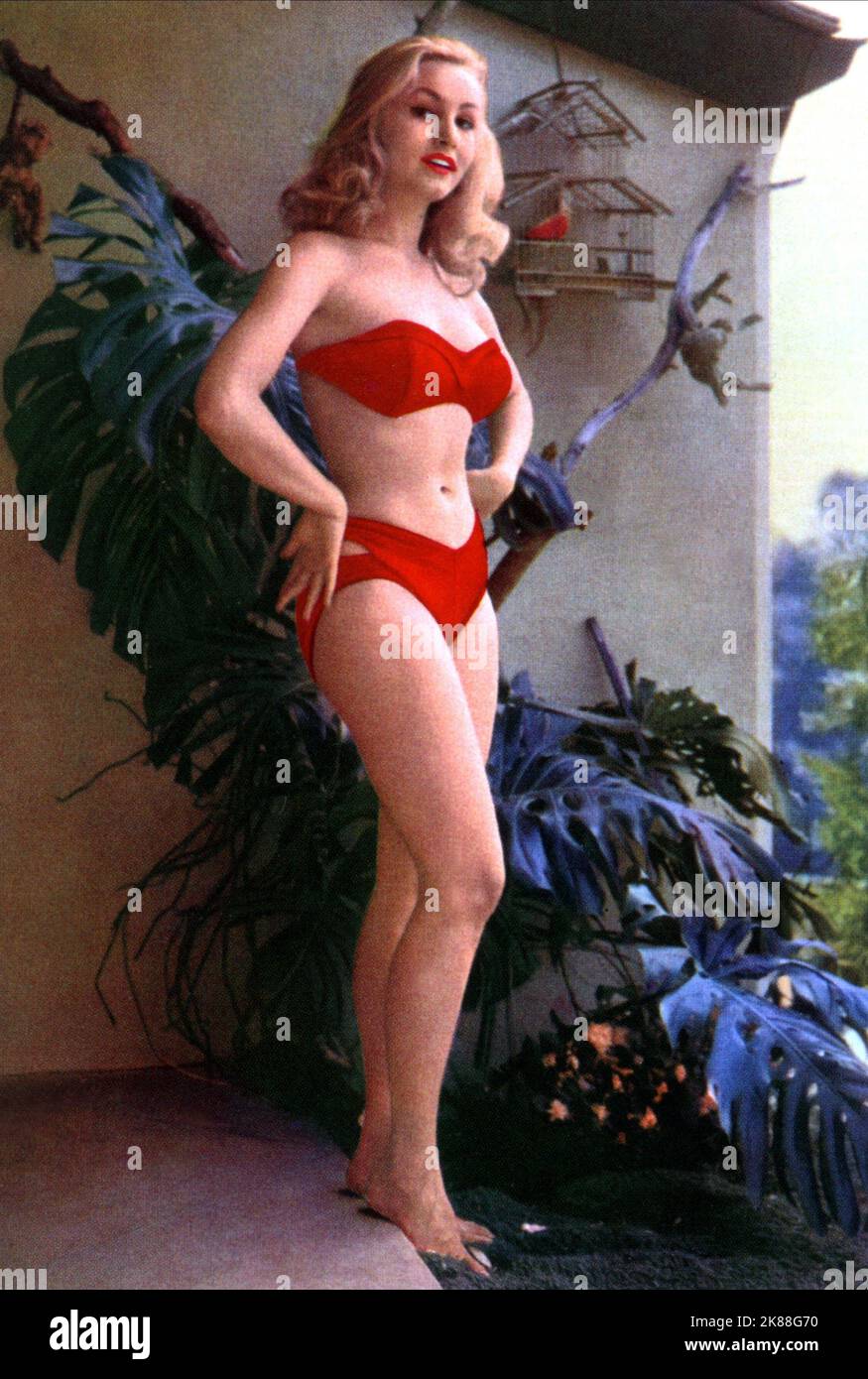 Julie Newmar Actress 01 May 1953 WARNING This Photograph Is For 