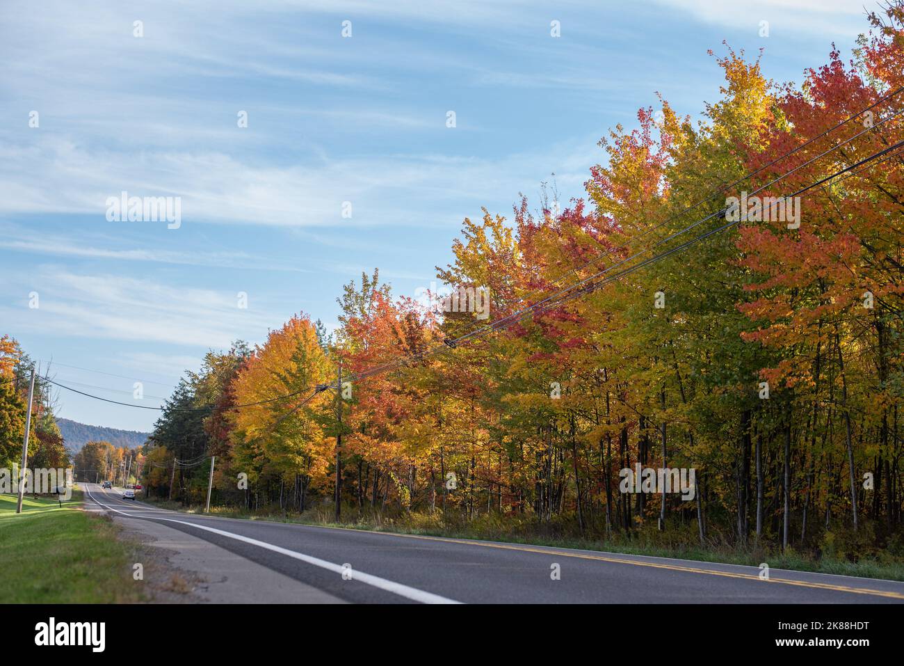Trees with fall foliage in rural Pennsylvania, USA - Stock Image