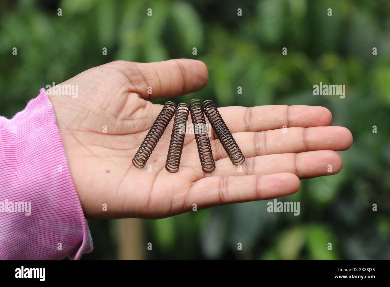 Compression springs held in hand on a nature background Stock Photo