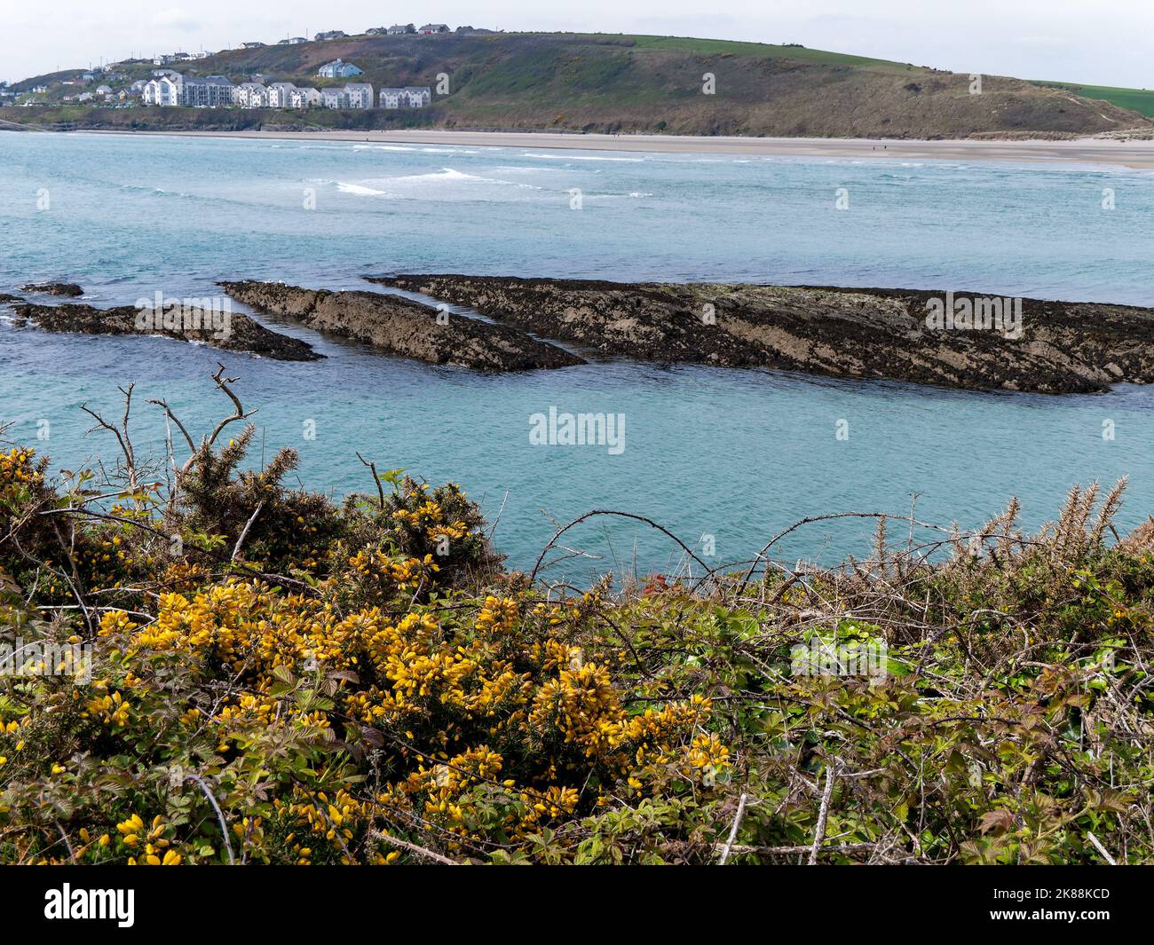Dense coastal bushes. View of Clonakilty Bay. Sea rocks. A picturesque place in Europe, rock formation near body of water. The nature of Ireland. Stock Photo
