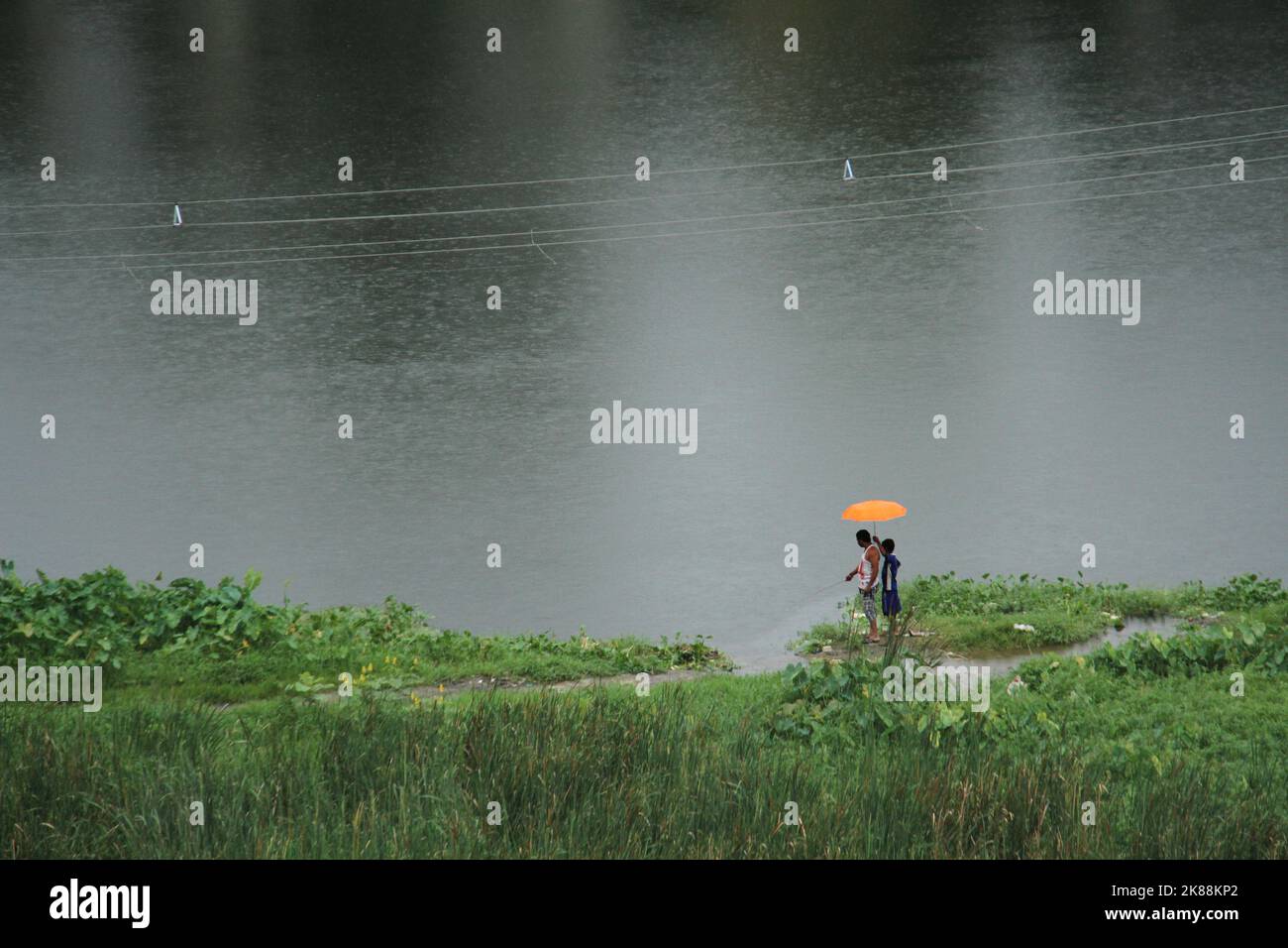 a rainy day of rural West Bengal.raining throughout the day. Stock Photo