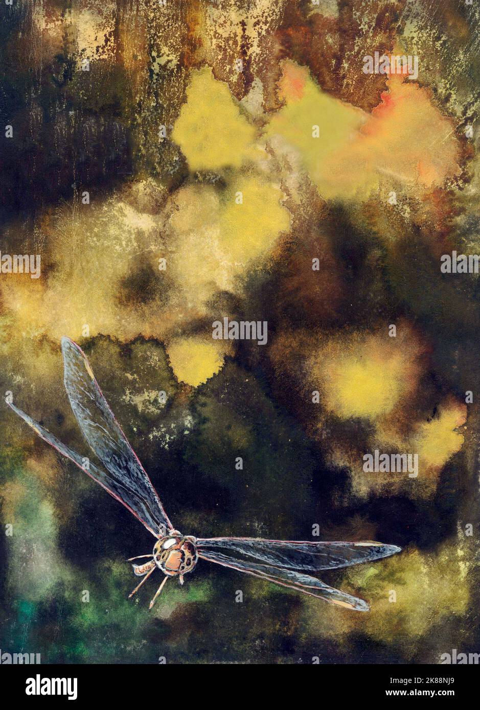 Watercolour art dragonfly / damselfly, against abstract impressionist bark/foliage background Suit book cover/ editorial illustrating flying insects Stock Photo