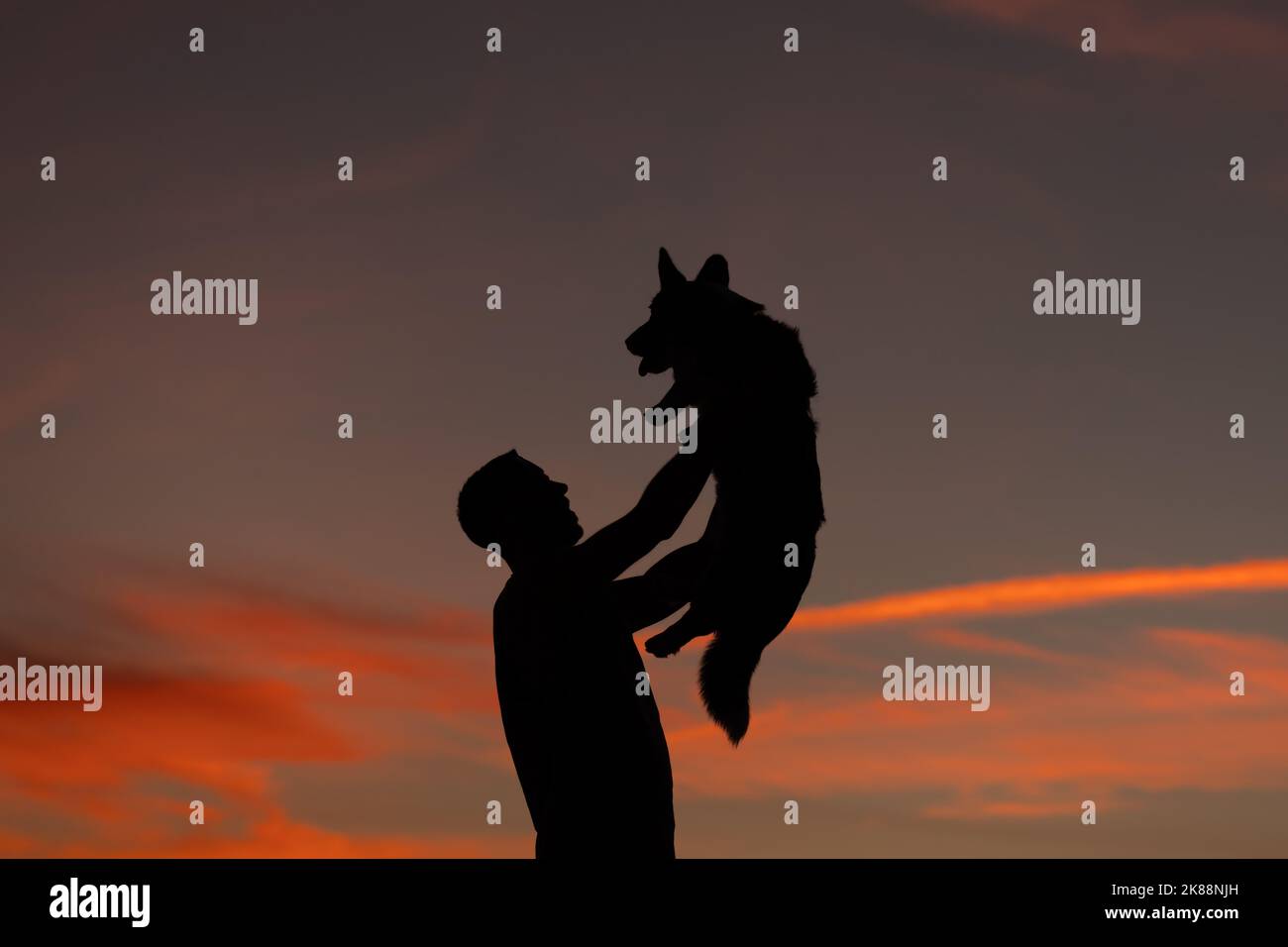 Silhouette of man holding his lovely corgi dog in arms at sunset. Pet and owner or master friendship. Love animals concept. Stock Photo