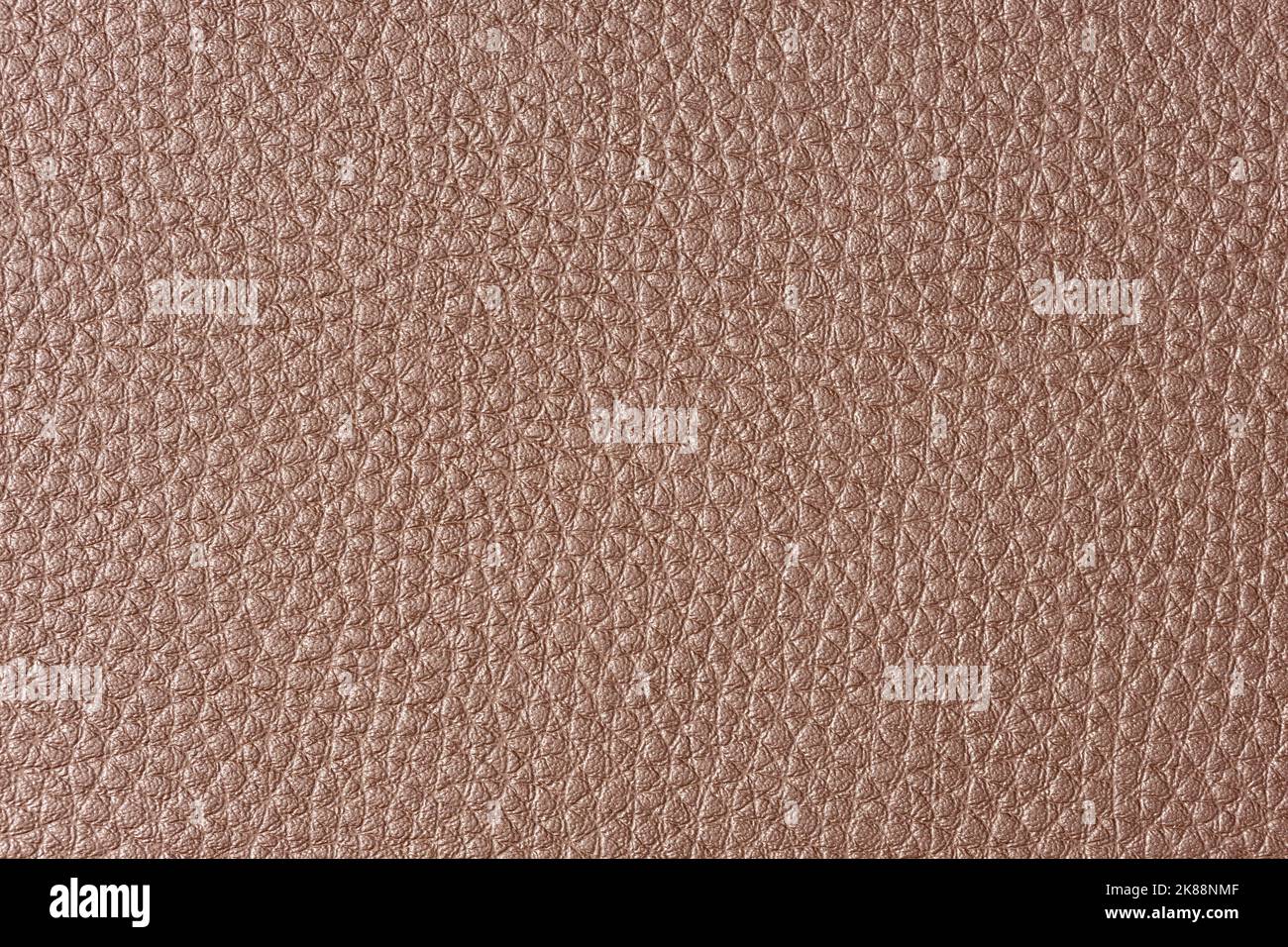 Brown Leather background texture. Full frame Stock Photo