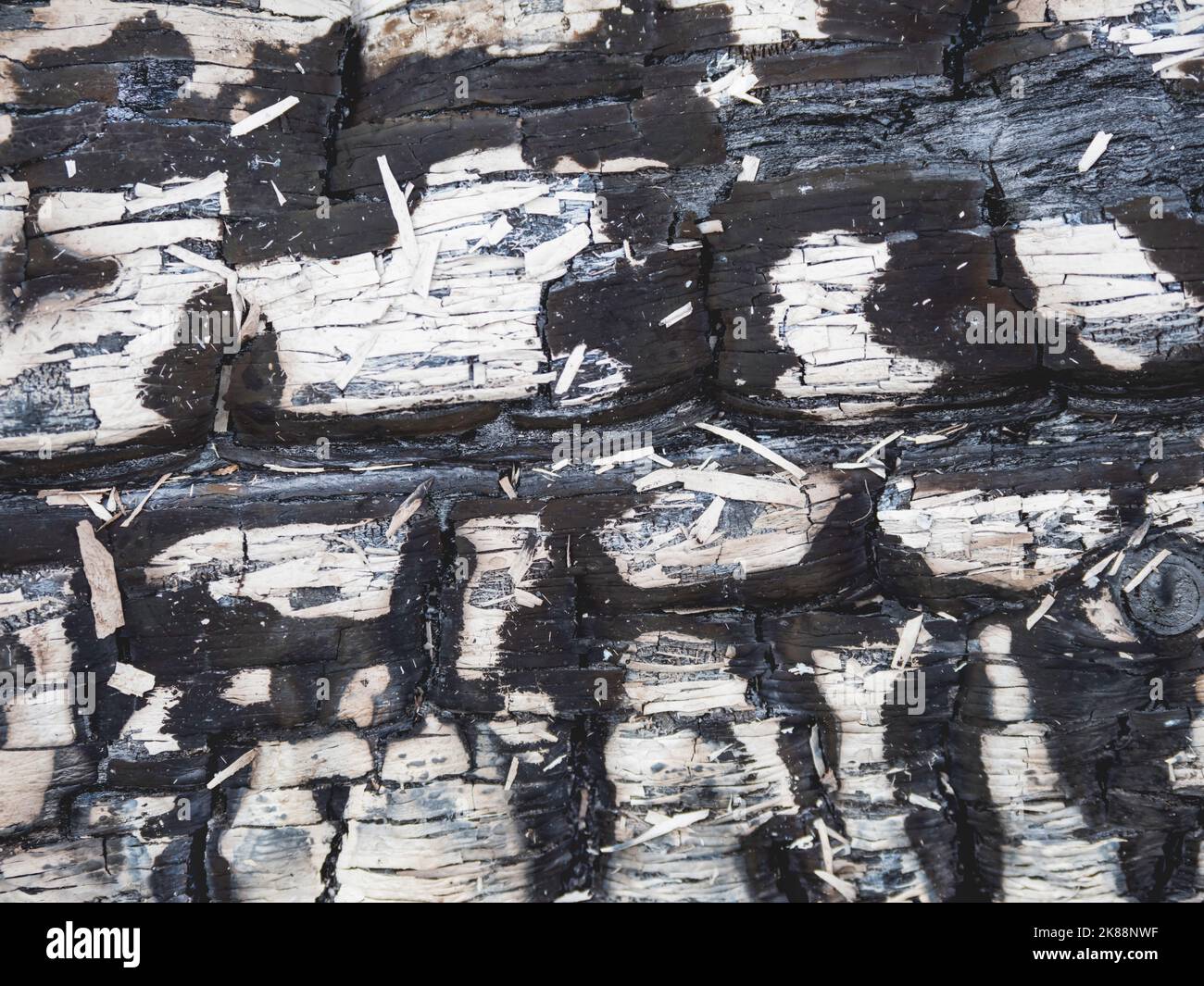 Burned wooden planks. Texture of white colored board after fire. Flame damaged wooden background. Stock Photo