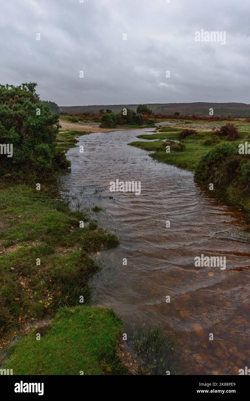 Godshill, Hampshire, UK, 21st October 2022, Weather After months of