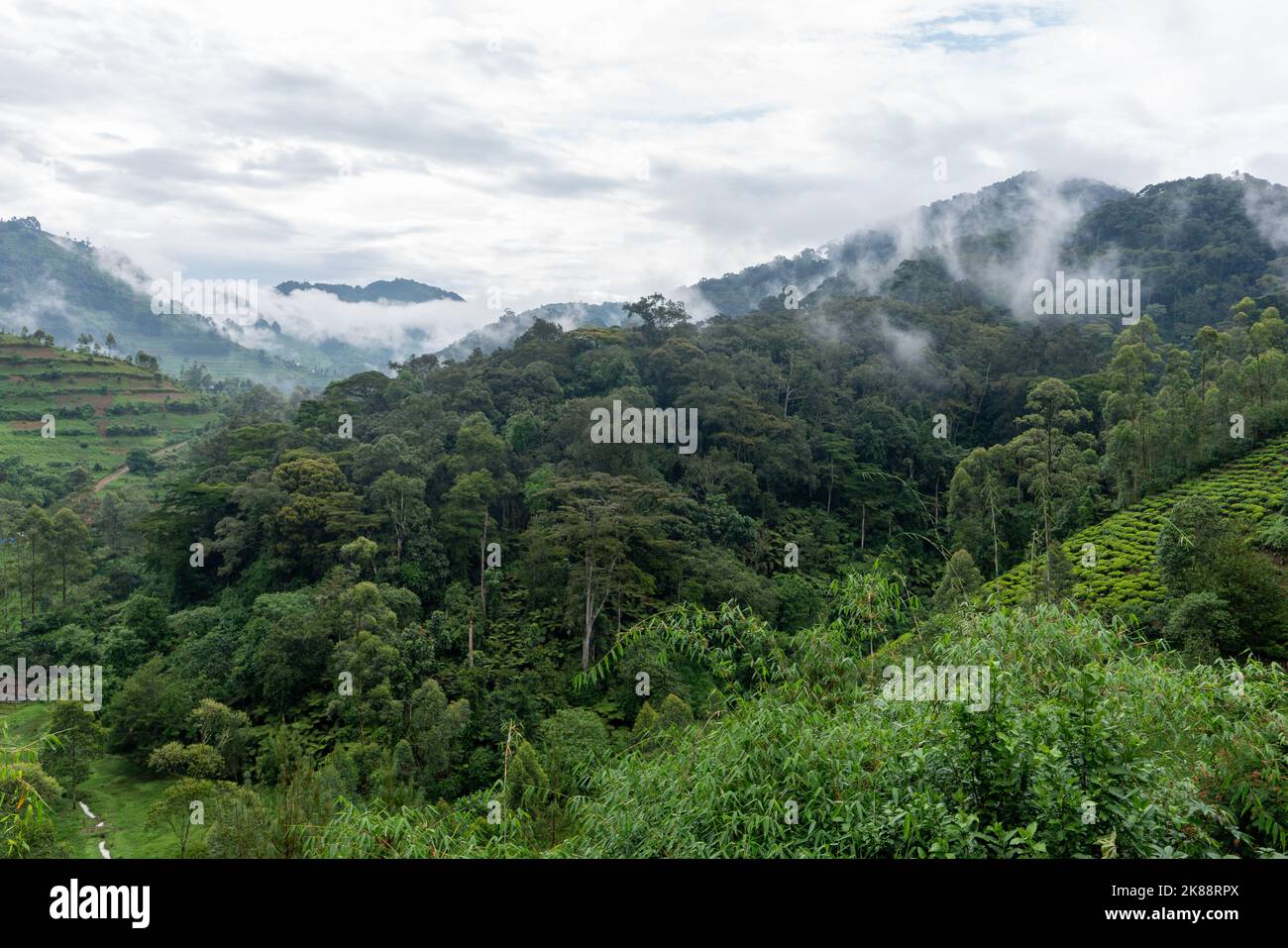 An aerial view of green landscape in Uganda, Africa Stock Photo - Alamy