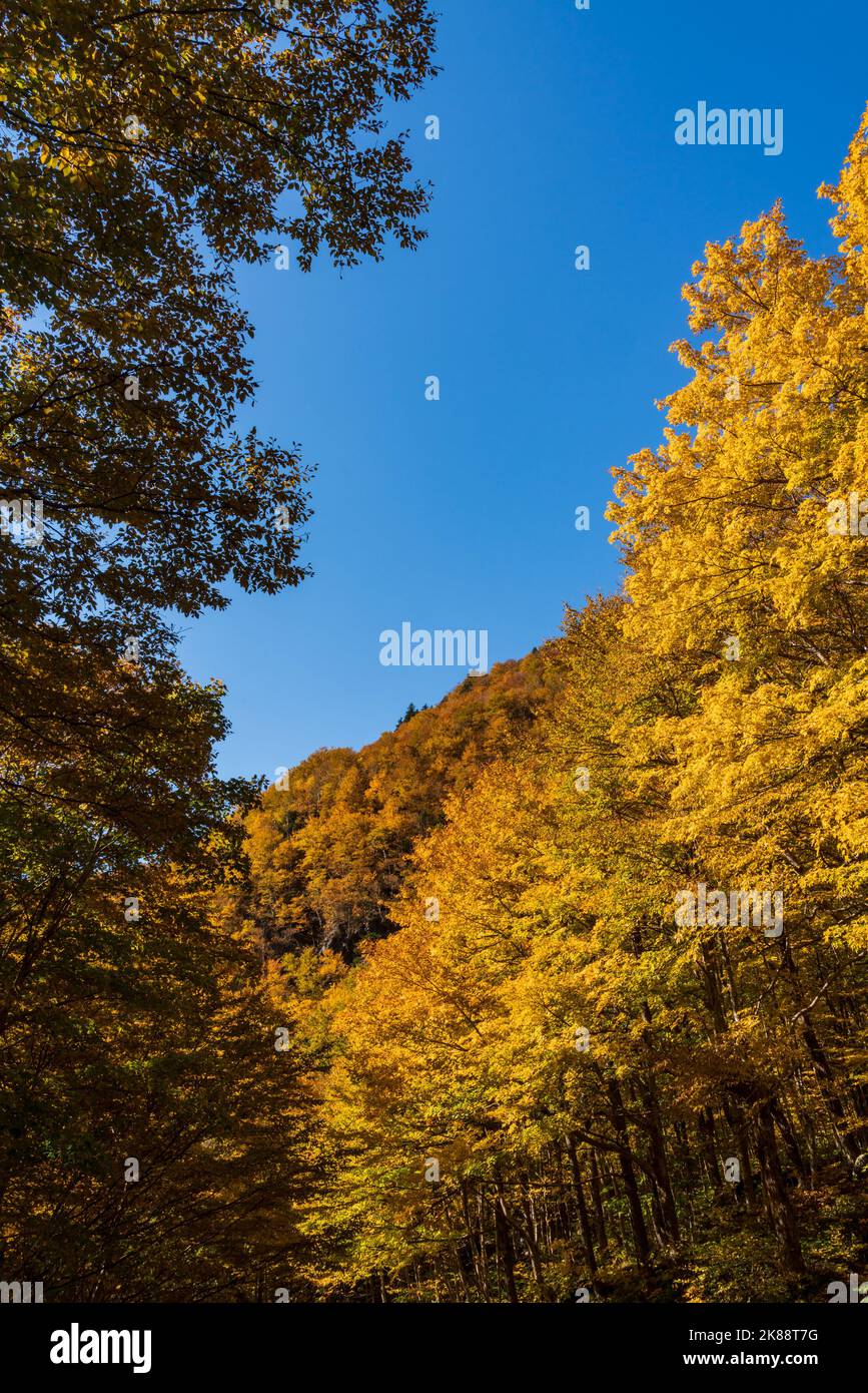View through a frame of leaves towards the rocky summit of Smugglers Notch in the fall near Stowe, Vermont Stock Photo