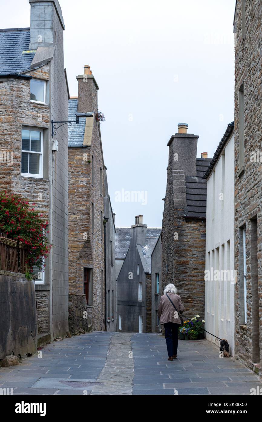 Woman and dog in dundas st hires stock photography and images Alamy