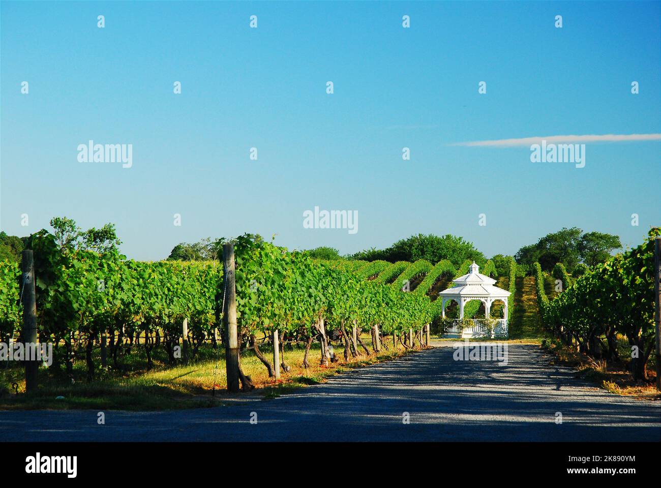 A gazebo is nestled in a vineyard and makes for a romantic spot at a