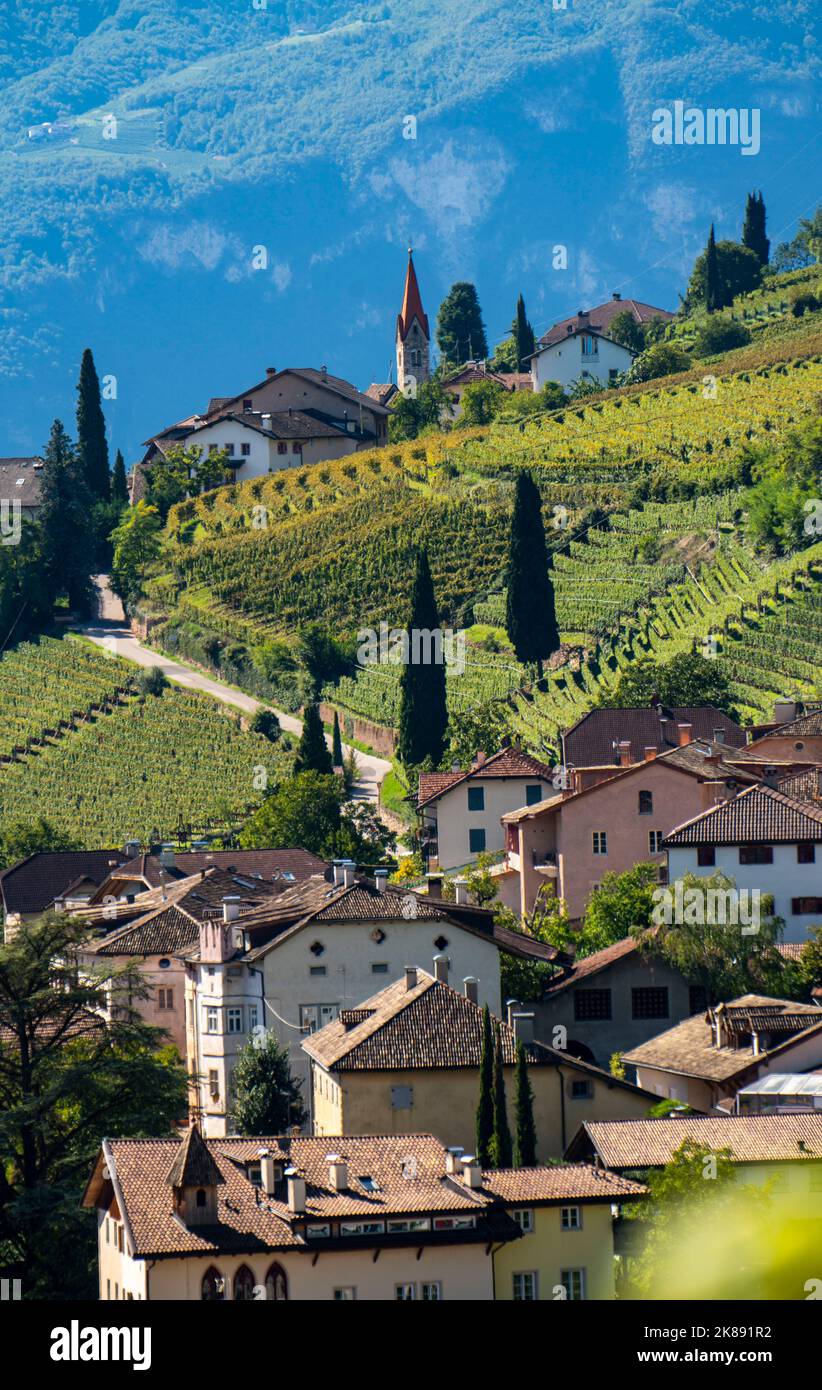 Landscape in the Etschtal valley, in South Tyrol, above the village of Tramin, vineyards dominate the mountain slopes, home of the Gewürztraminer grap Stock Photo