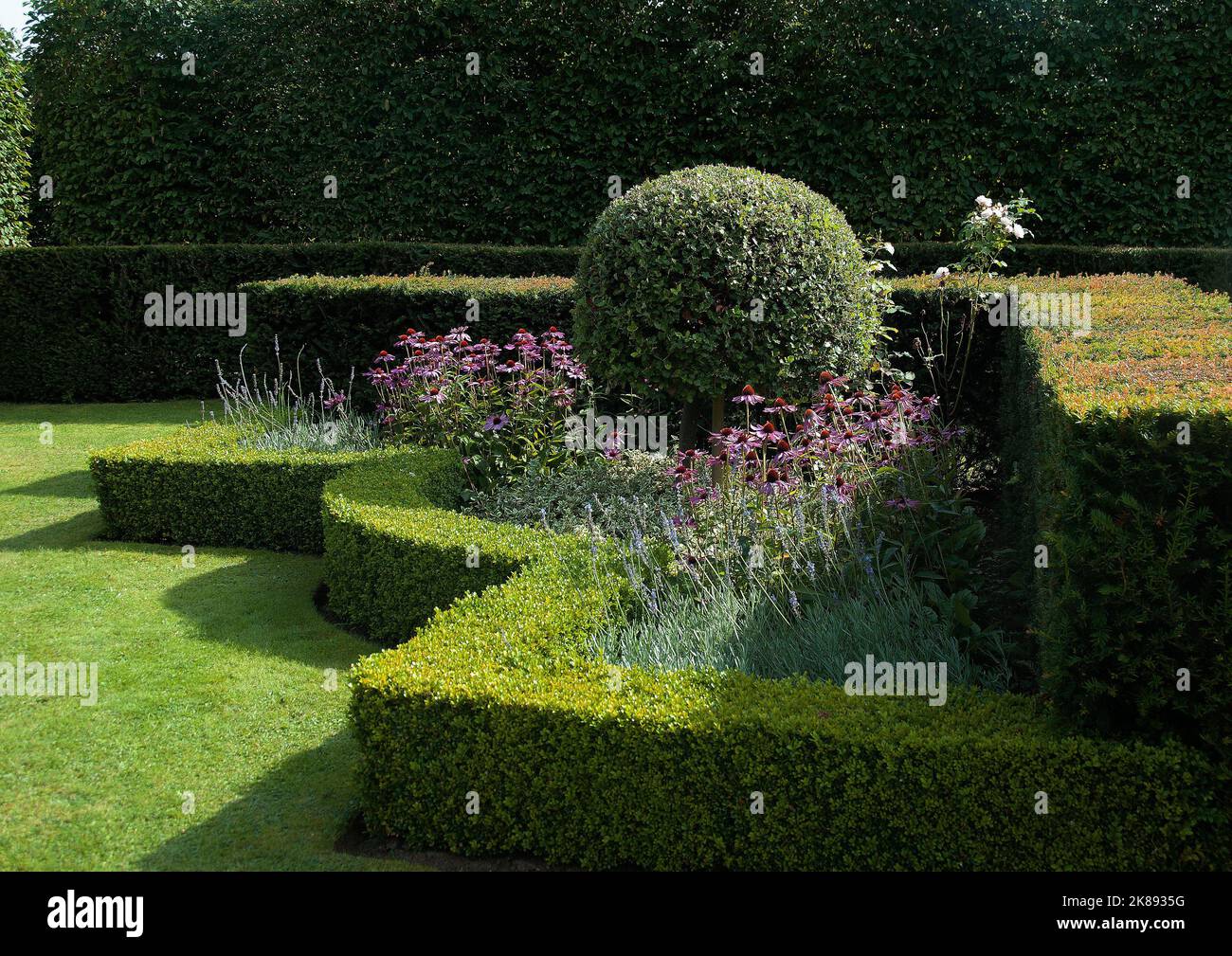 Clipped Box and hornbeam hedges Stock Photo