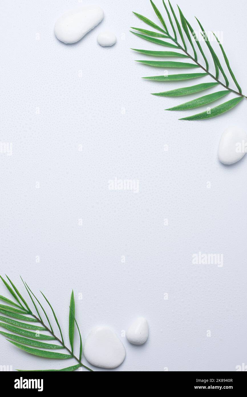 Spa background with white stones and palm leaves on white. Flat lay ...