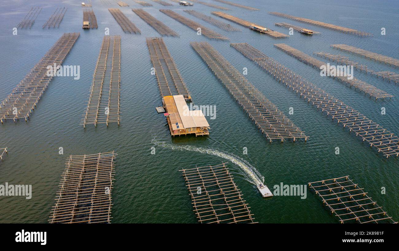 In Fangar Bay mussels and oysters are farmed. Ebro Delta Nature Reserve, Tarragona, Catalonia, Spain. Stock Photo