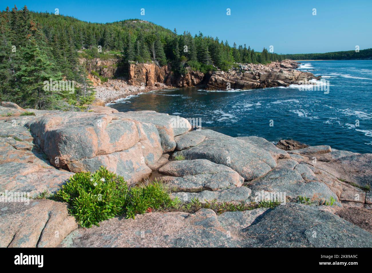 A view of Monument Cove from the Ocean Path Trail in Acadia National