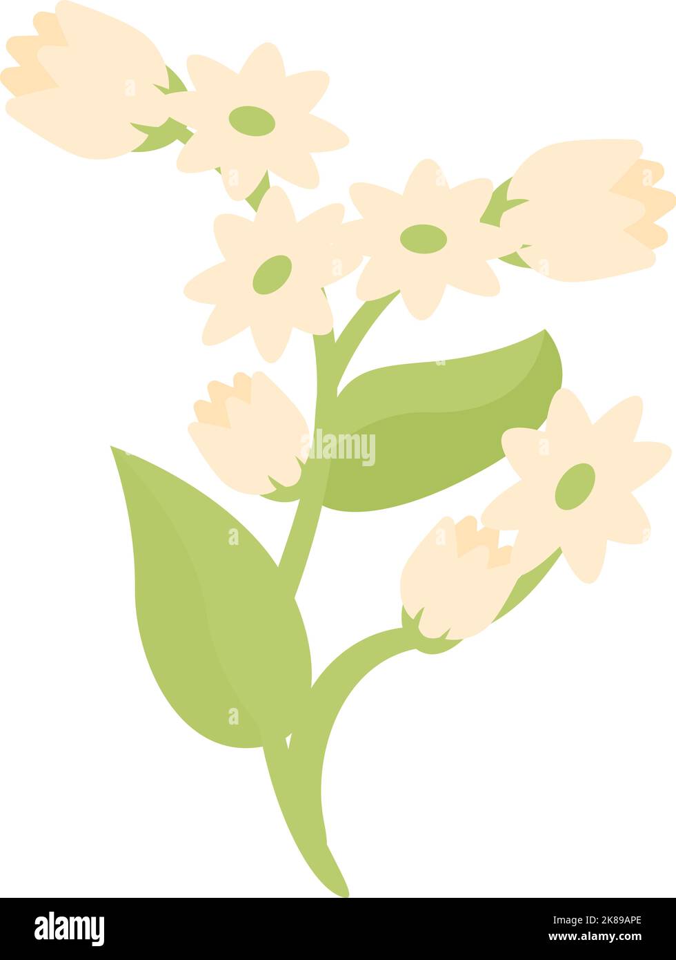 Flower buckwheat icon cartoon vector. Cereal plant. Seed grain Stock
