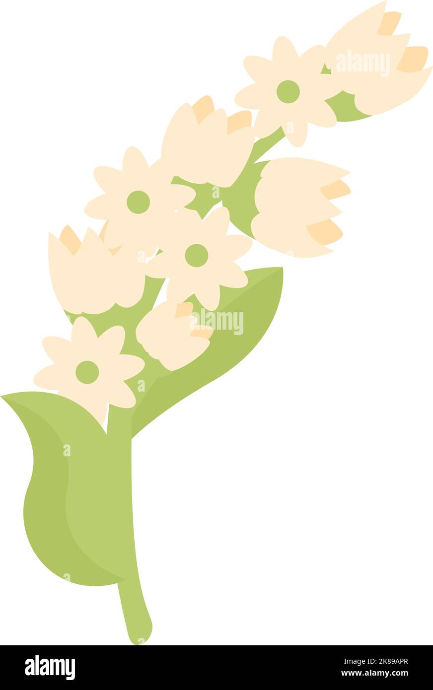 Buckwheat plant icon cartoon vector. Cereal agriculture. Raw flower