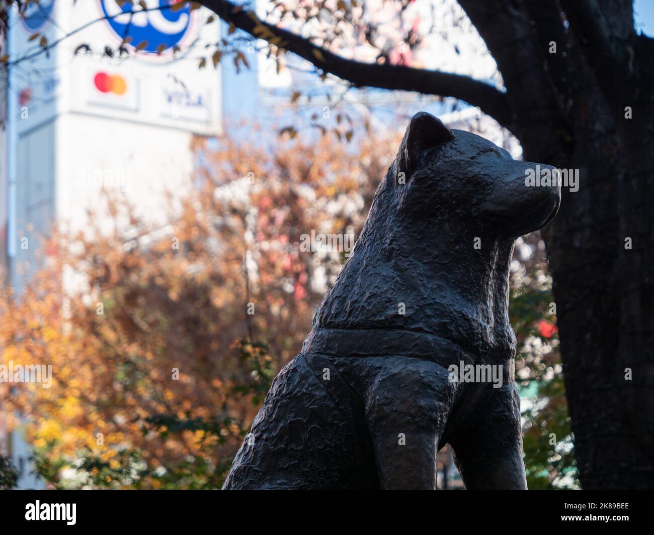 The famous Hachiko statue, located outside of Shibuya station, Tokyo Stock Photo Alamy