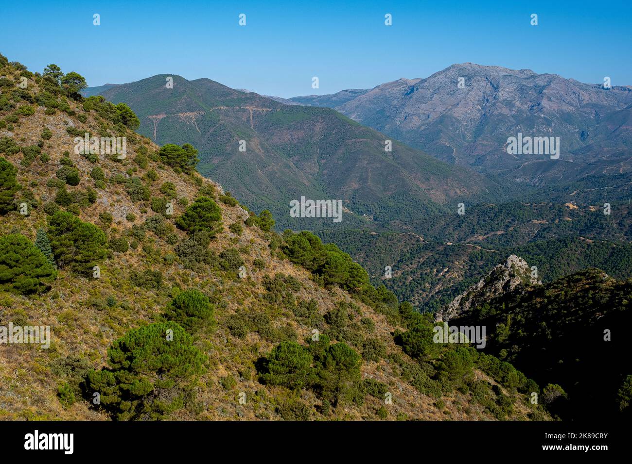 Torrecilla peack at right, Sierra de las Nieves National Park, Malaga, Spain Stock Photo