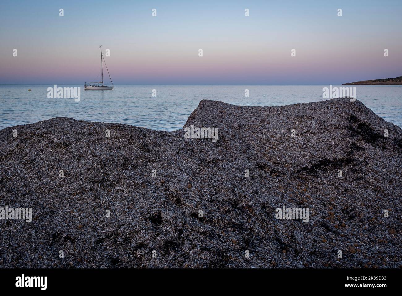 Accumulation of dead Posidonia in Cala Millor Beach, exterior, outdoor, Balearic Islands, Spain Stock Photo