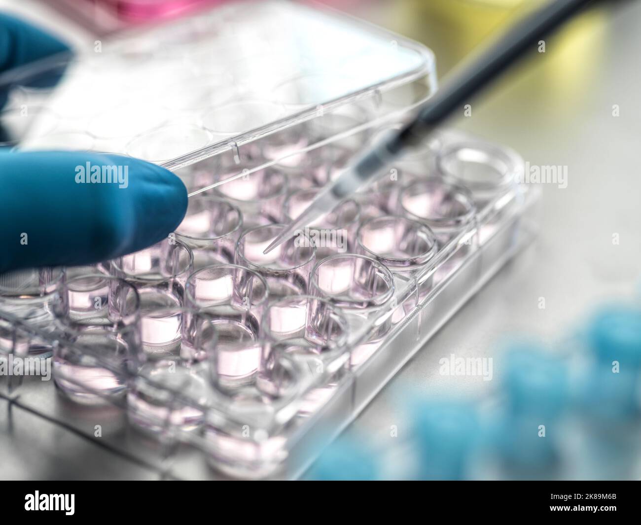 Pharmaceutical research Stock Photo