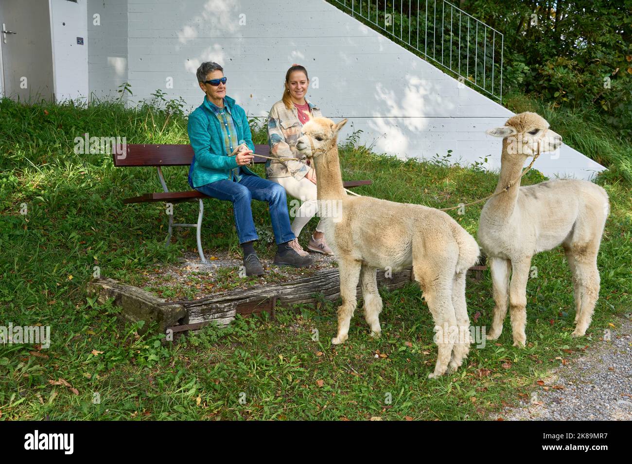 2 Two Resting Women With Alpacas. Bauma, Zurich Oberland, Switzerland Stock Photo