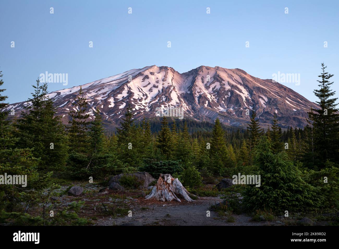 WA2250400...WASHINGTON Dawn light on Mount St. Helens from the Lahar