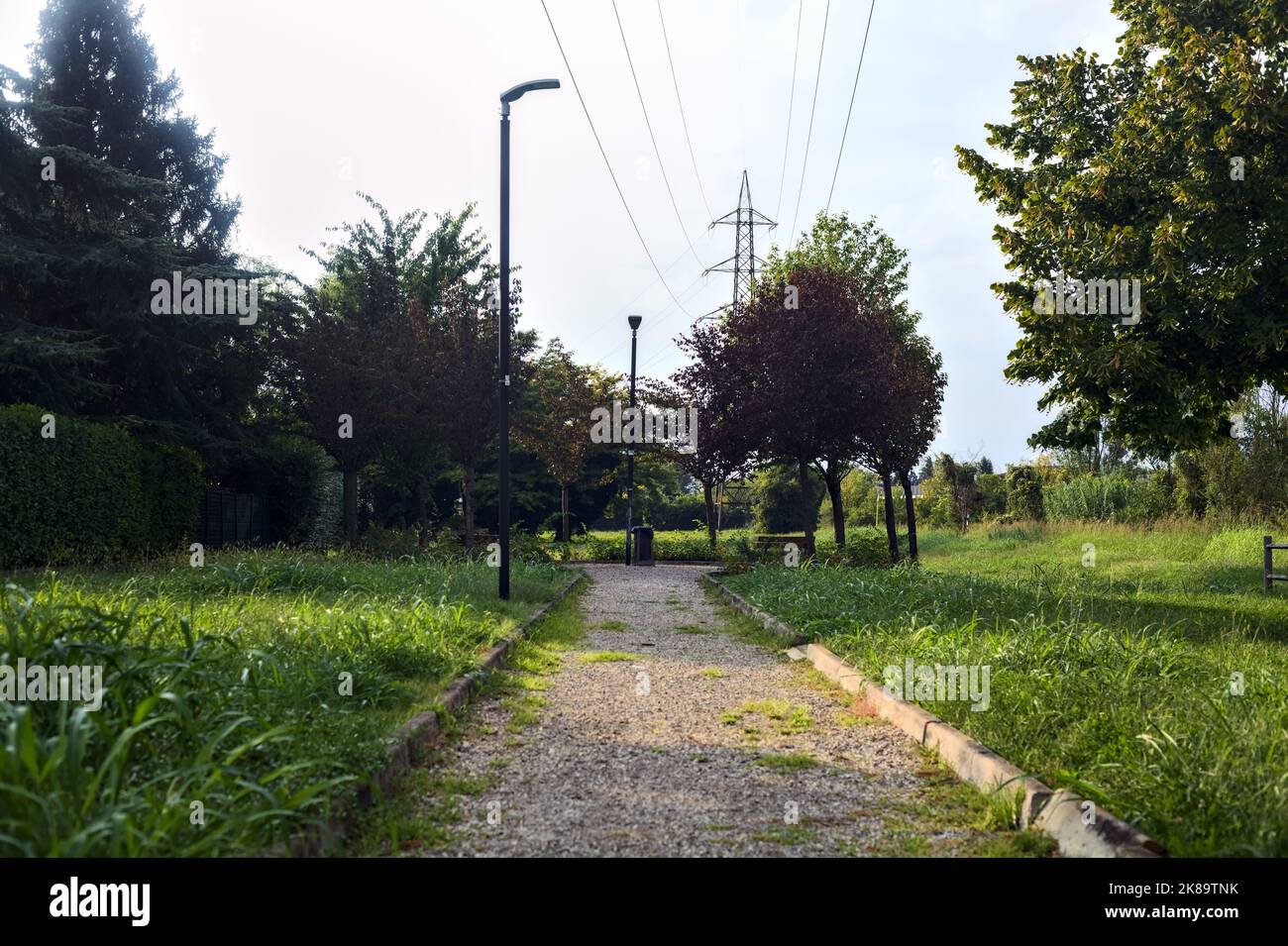 Paved path with trees at its edge in a park Stock Photo - Alamy