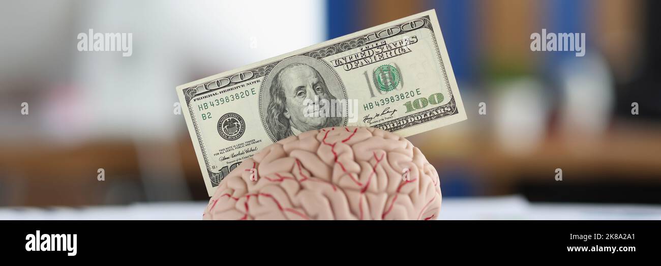 Banknote put in anatomical model of human brain, mess of business ...