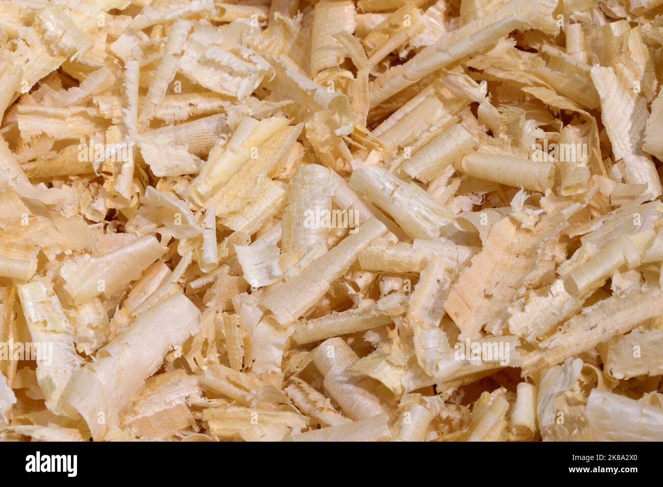 Background of Swiss pine chippings also called pinus cembra Stock Photo