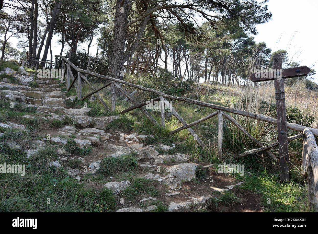 Sentiero boschivo hi-res stock photography and images - Alamy