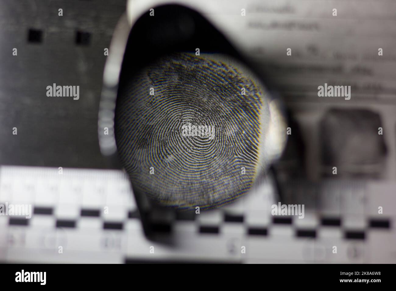 Lens, fingerprints and forensic ruler on fingerprint card Stock Photo