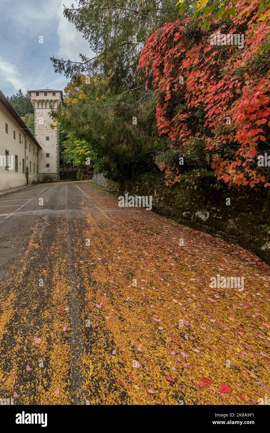 Road covered in leaves with autumn colors at the Vallombrosa Abbey, Reggello, Florence, Italy Stock Photo