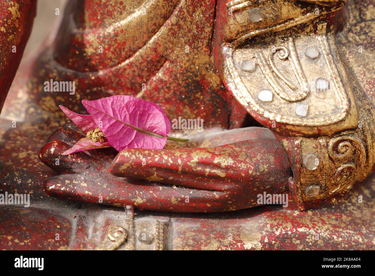 bougainvillea flower in the hand of buddha Stock Photo
