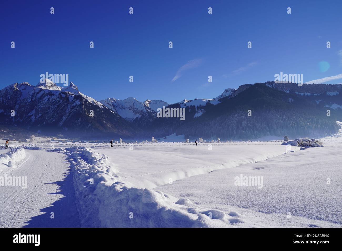 Panorama of alps and cross country skiing trail in resort Studen