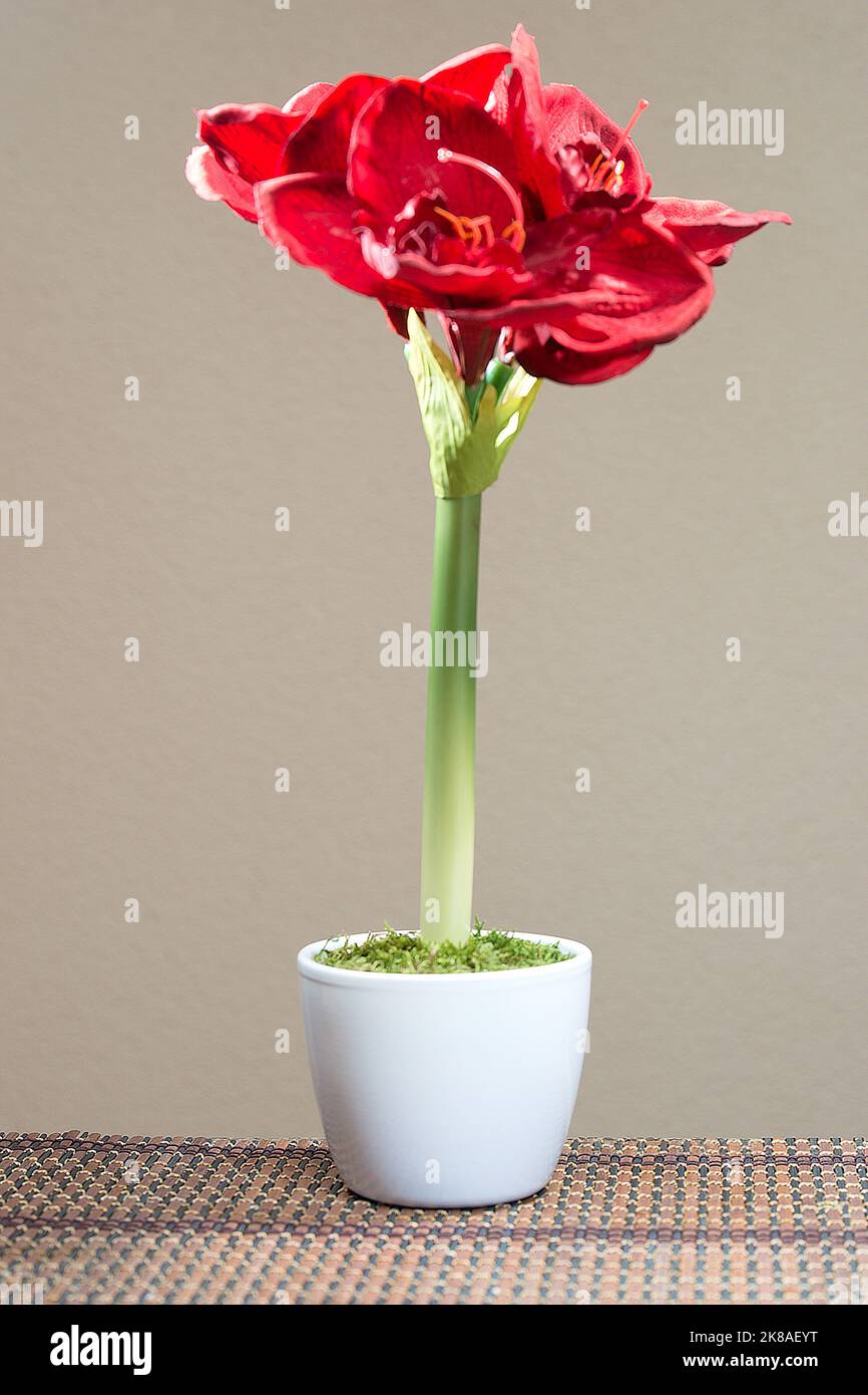 Amaryllis als Kunstblume Stock Photo