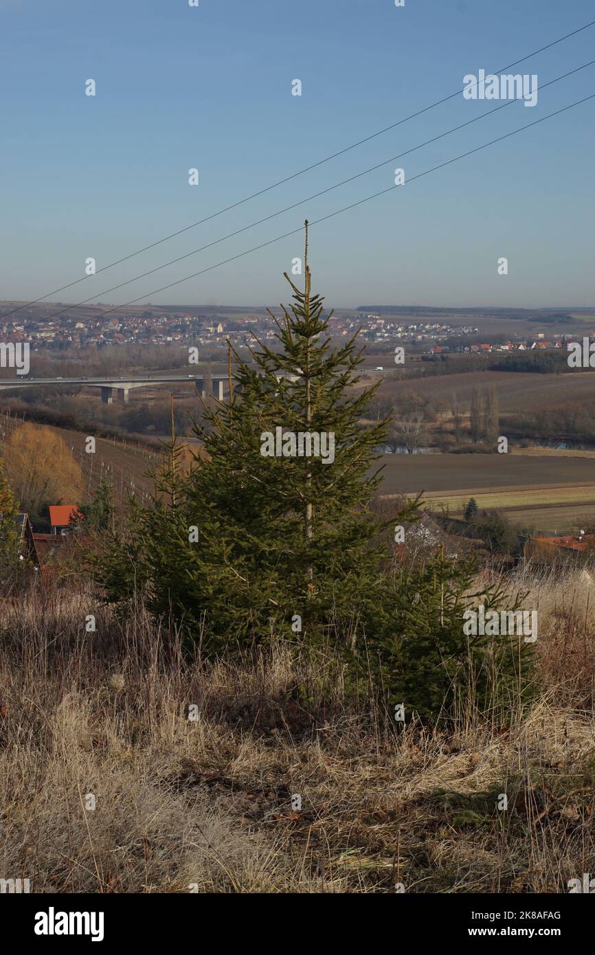Natur ortsnah in Mainstockheim mit Blick nach Dettelbach Stock Photo