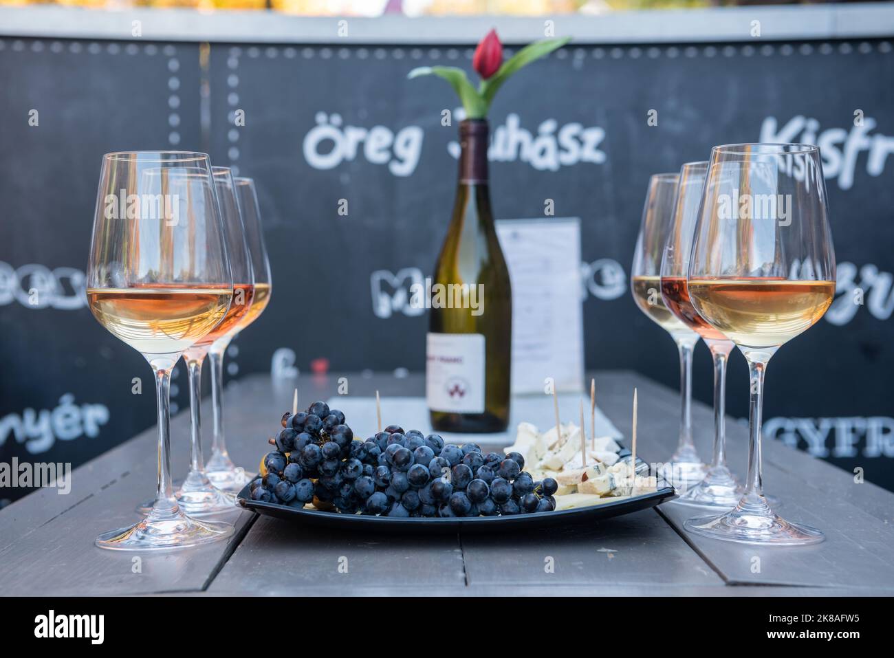 Eger, Hungary October 17, 2022. Wine tasting at the Valley of the