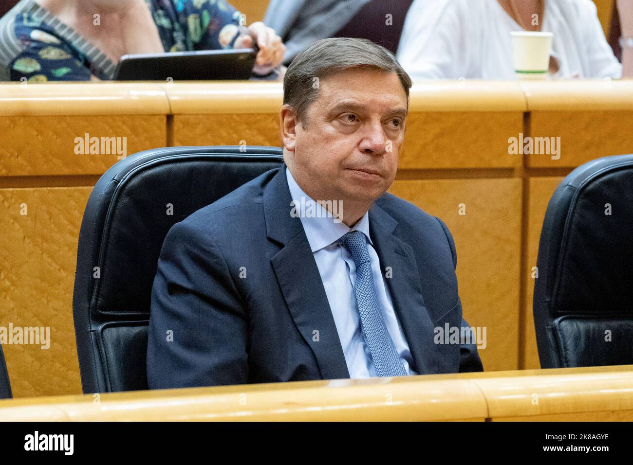 Luis Planas Puchades. Minister of Agriculture, Fisheries and Food. In the Senate of Spain. MADRID, SPAIN - OCTOBER 18, 2022. Stock Photo