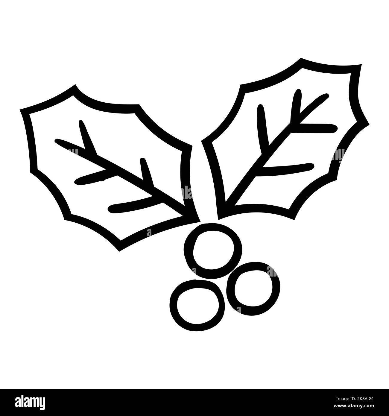 Christmas holly leaves with red berries Vector Illustration, for