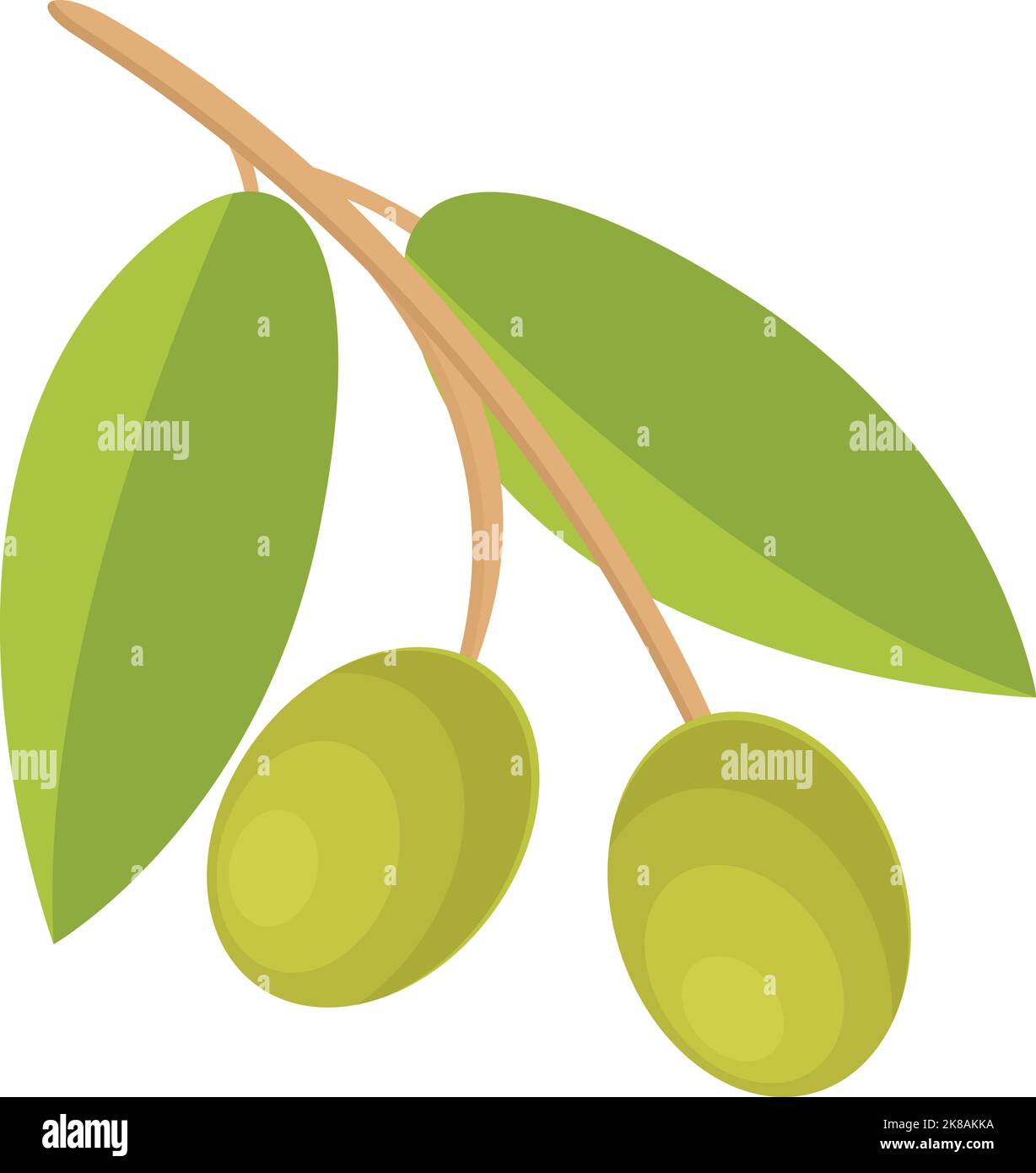 Cooking green olives icon cartoon vector. Food olive. Tree fruit Stock